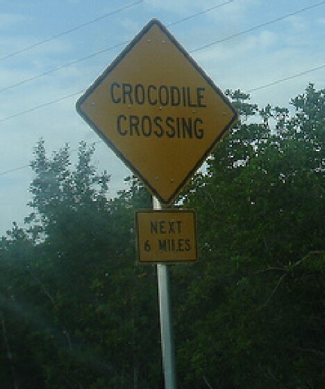 CrocCossing
