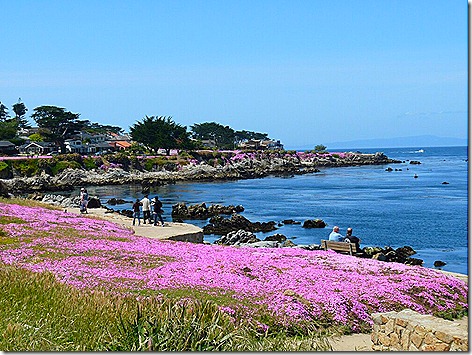 Monterey 1
