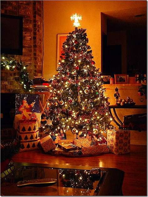 Landons First Christmas Tree