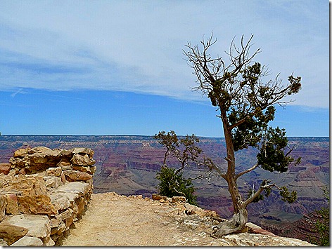 Canyon Lookout 2