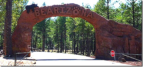 Bearizona Entrance