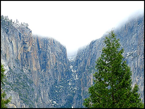 Yosemite Fog