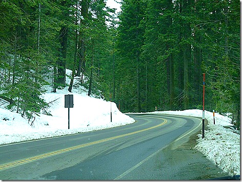 Yosemite Snow Drive 1