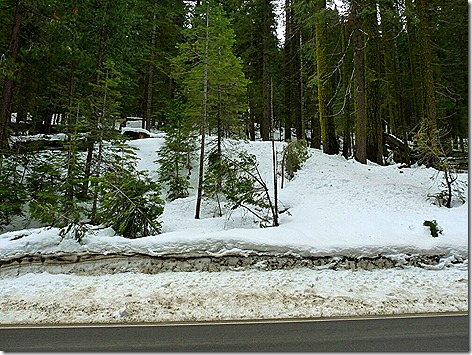 Yosemite Snow Drive 2