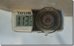 113 Thermometer