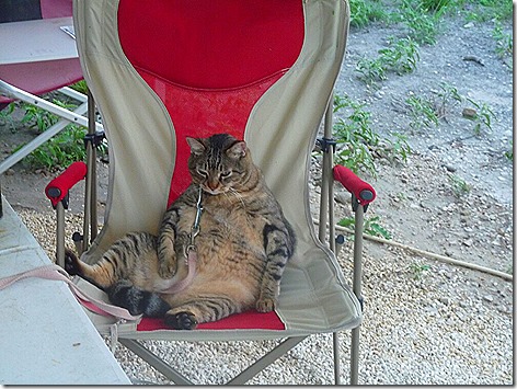 Mister Outside in Chair
