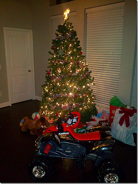Landon's Christmas Tree 2013