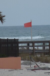 Surf Warning Flag
