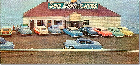 Sea_Lion_Caves_in_the_Mid_1950's