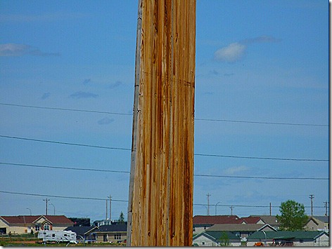 Timber Pole 2