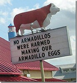 Armadillo Eggs