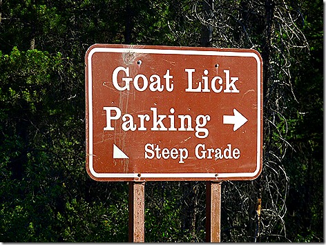 Goat Lick Sign