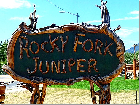 Rocky Fork Juniper 1