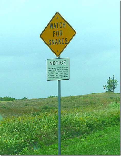 Watch For Snakes