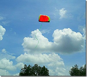 Nick's Kite 1
